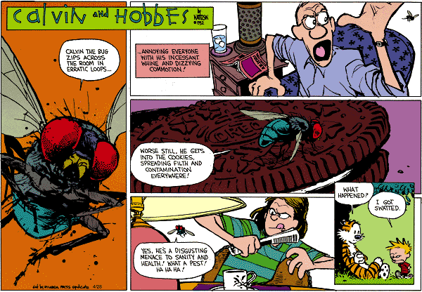 calvinandhobbes