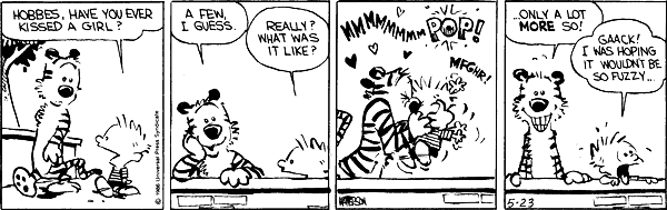 calvinandhobbes