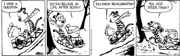 calvinandhobbes