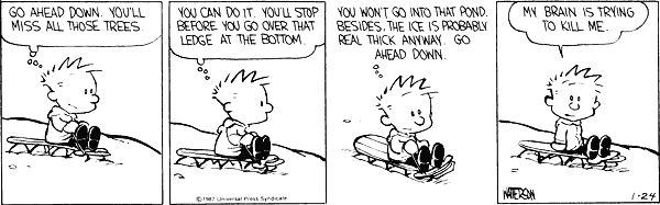 calvinandhobbes