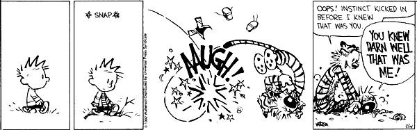 calvinandhobbes
