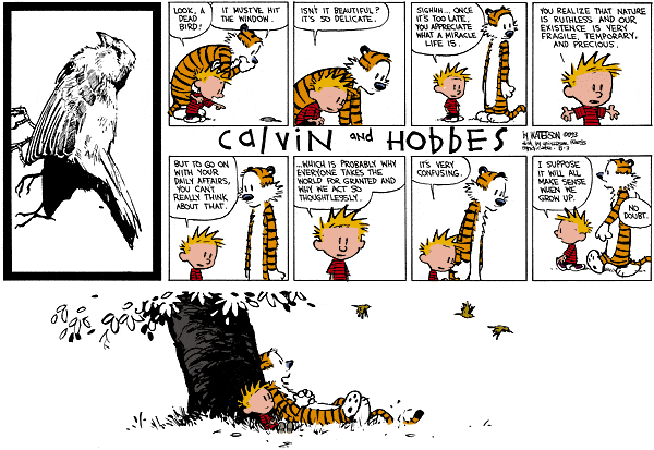 calvinandhobbes