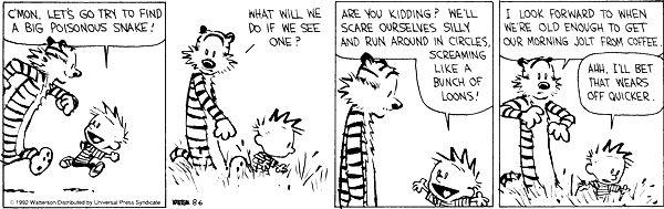 calvinandhobbes