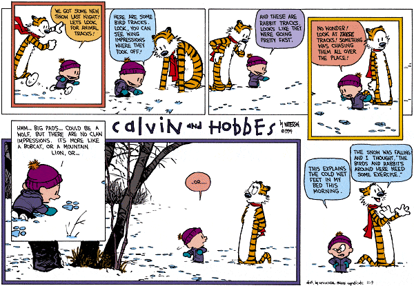 calvinandhobbes