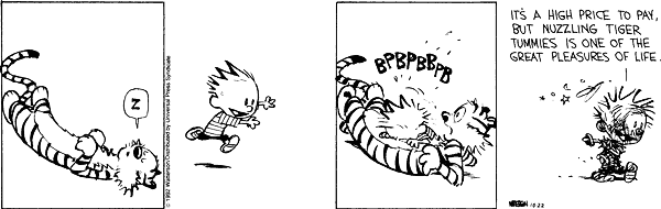 Ch921022