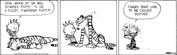 calvinandhobbes