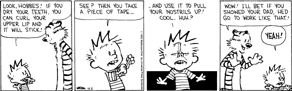 calvinandhobbes
