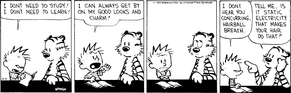 calvinandhobbes