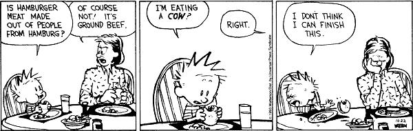 calvinandhobbes