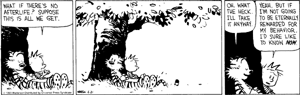 Calvin and Hobbes: Leben nach dem Tod