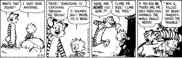 calvinandhobbes