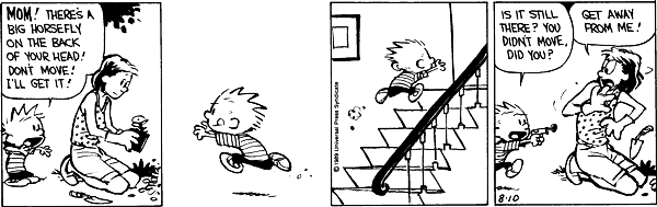 calvinandhobbes