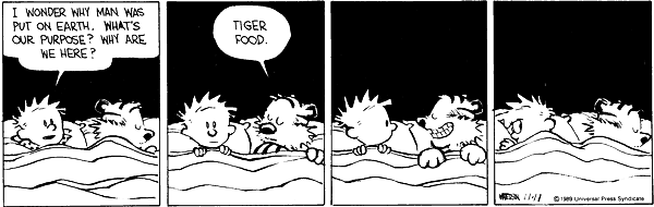 calvinandhobbes