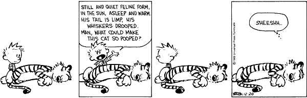 calvinandhobbes