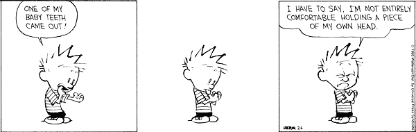 calvinandhobbes