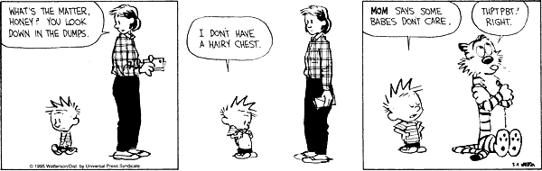 calvinandhobbes