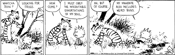 calvinandhobbes