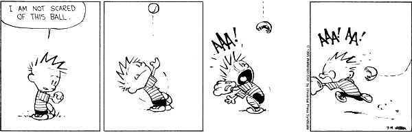 calvinandhobbes