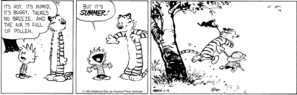 calvinandhobbes