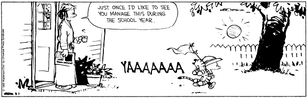 calvinandhobbes