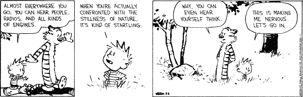 calvinandhobbes