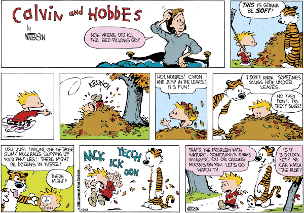calvinandhobbes