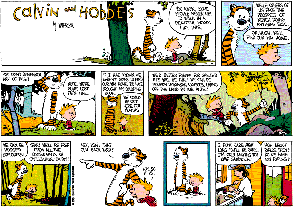 calvinandhobbes