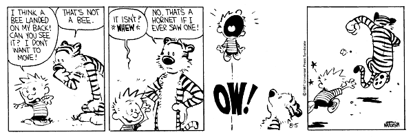 Calvin and Hobbes