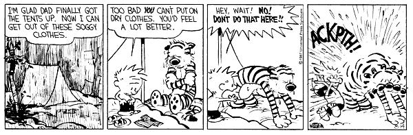 Calvin and Hobbes