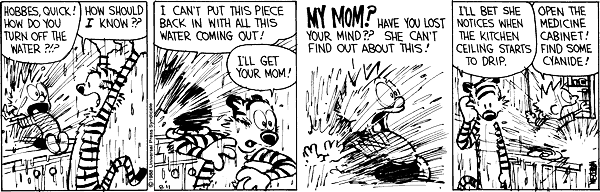 calvinandhobbes