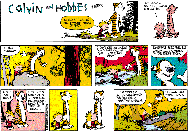 calvinandhobbes