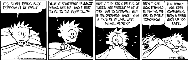 calvinandhobbes
