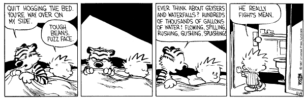 Calvin and Hobbes