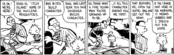 calvinandhobbes