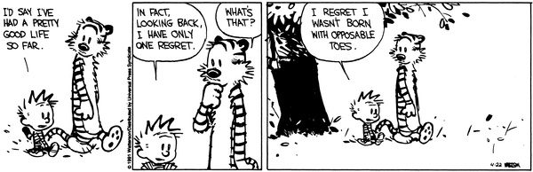 calvinandhobbes