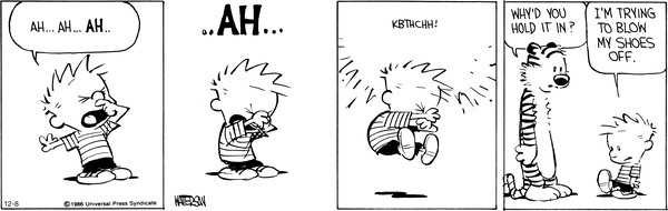 calvinandhobbes