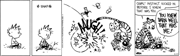 calvinandhobbes