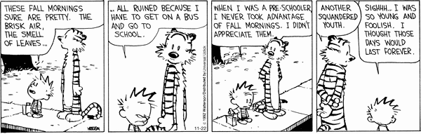 calvinandhobbes
