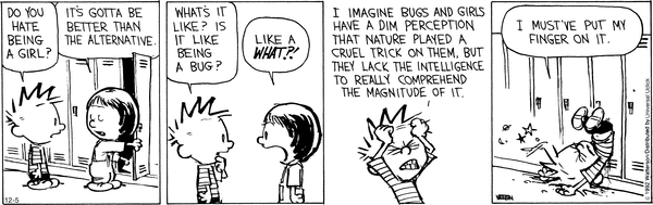 calvinandhobbes