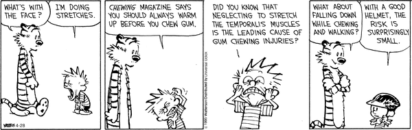 calvinandhobbes
