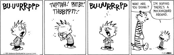 calvinandhobbes