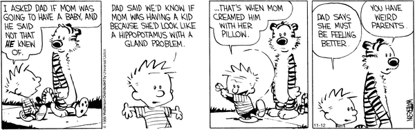 calvinandhobbes