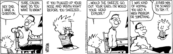 calvinandhobbes
