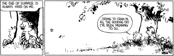 calvinandhobbes