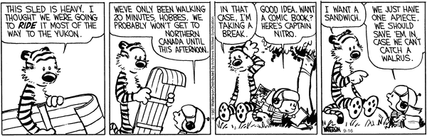 calvinandhobbes