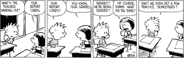 http://picayune.uclick.com/comics/ch/2017/ch170130.gif