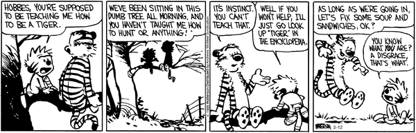 calvinandhobbes