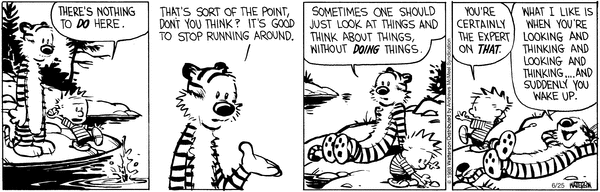 calvinandhobbes