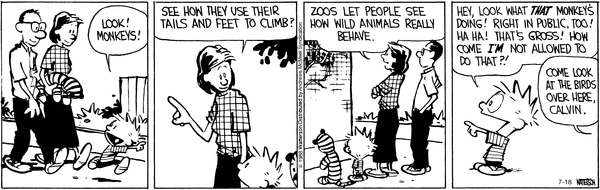 calvinandhobbes