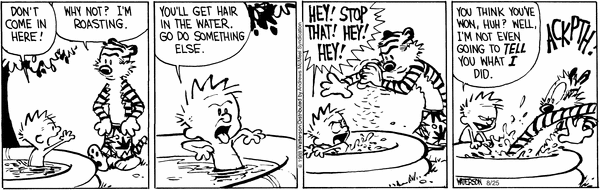 calvinandhobbes